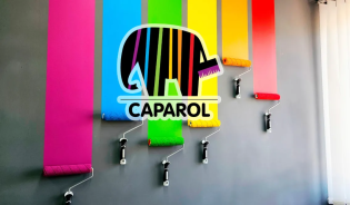 Как выбрать краску Капарол (Caparol™)